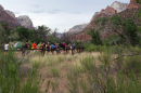 People walking down a trail with shrubbery on either side and rocky mountains ahead of them.