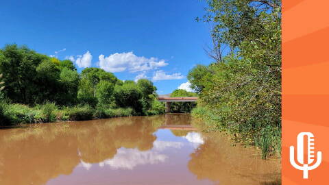 Buzz Verde River mezz