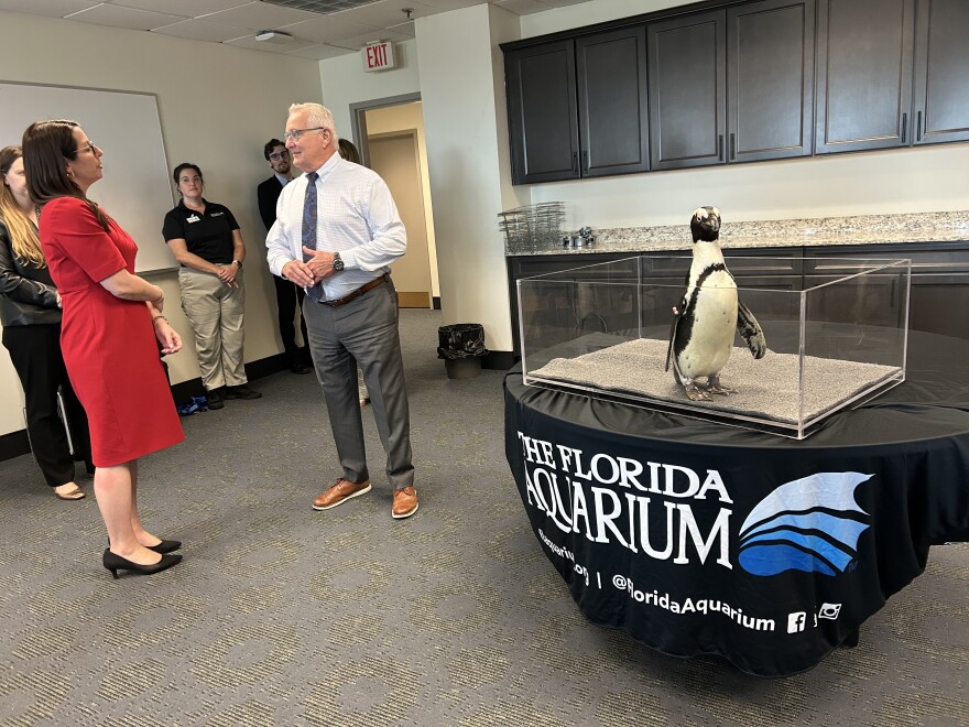 A penguin in a glass box to the right on a tablecloth that says The Florida Aquarium with a man and woman talking to the left