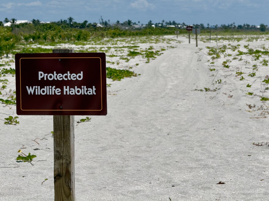Protected wildlife habitats are scattered throughout Southwest Florida to preserve the coastline’s foundation. Mangroves play a key role in this process, as elaborate root systems help to lock the coastline’s foundation in place.