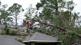Men on a roof work to clean up pine tree that fell on a house