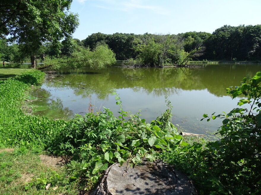 Lagoon at Jackson Park 