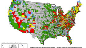 Map shows counties considered "high-risk" in the opioid epidemic. The state of Michigan having 24 high-risk counties. 