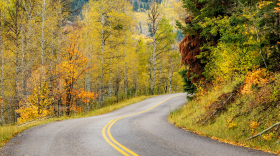 A road winding through a canyon in the fall. There are yellowing trees crowding both sides of the road with steeper, greener inclines visible in the background.