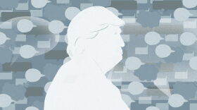 The annotated tweets of President Donald Trump. (Chelsea Beck/NPR)