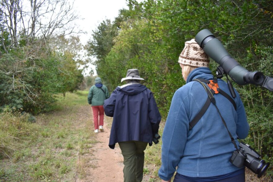A group of birders walk through the east end of Galveston Island to tally different species they see on Dec. 16, 2025.