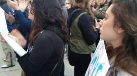 The Senate gutted a bill that deals with protesters who block traffic, sending the entire issue to a summer study committee.