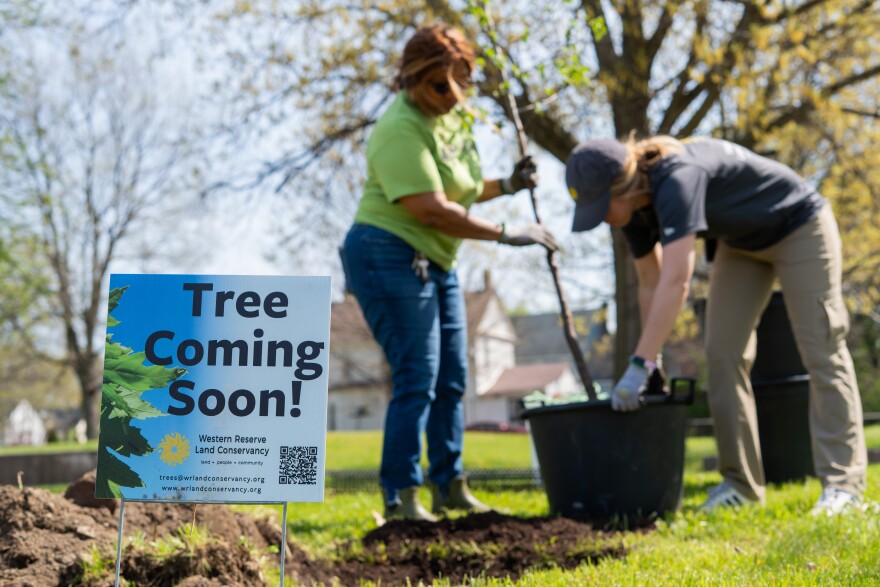 Community members in Cleveland’s Hough neighborhood help plant and maintain trees on a vacant lot with help from the Western Reserve Land Conservancy.