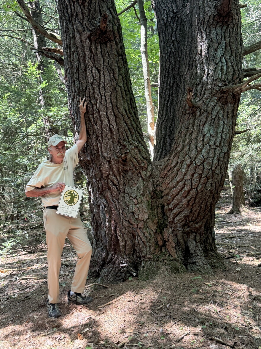 Dennis "Pap" Knauss, a longtime volunteer and caretaker of Tuscarora State Park, on the Spirit of Tuscarora Trail.