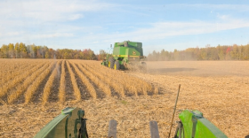 Crop fields at Poppydale Farm in Chateaugay, Franklin County.
