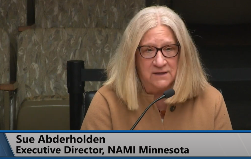 Sue Abderholden, executive director of the Minnesota branch of the National Alliance on Mental Illness, speaks to the Minnesota House Human Services Committee on March 18, 2024, to testify on behalf of a bill that would aim to encourage more mental health care providers in rural Minnesota.