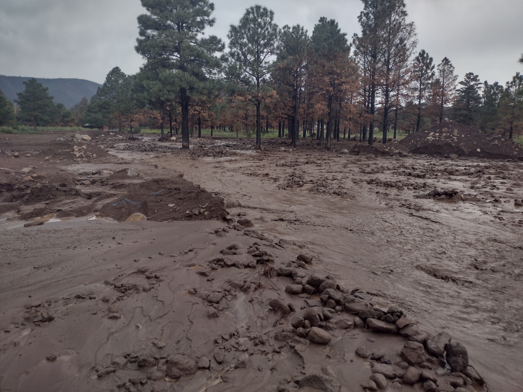 Heavy rain causes widespread flooding across northern Arizona