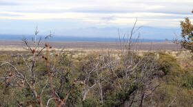 Santa Rita Experimental Range Views