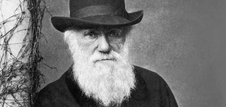 One of the first hints of Darwin's great theory, in 1837, scribbled in a notebook "one species does change into another"