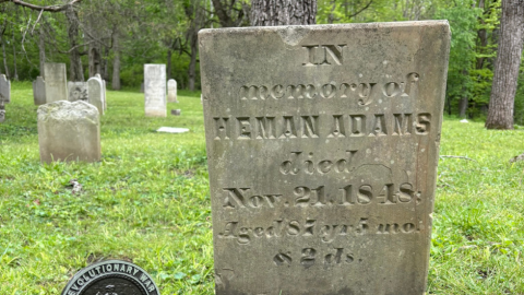 tombstone for Heman Adams