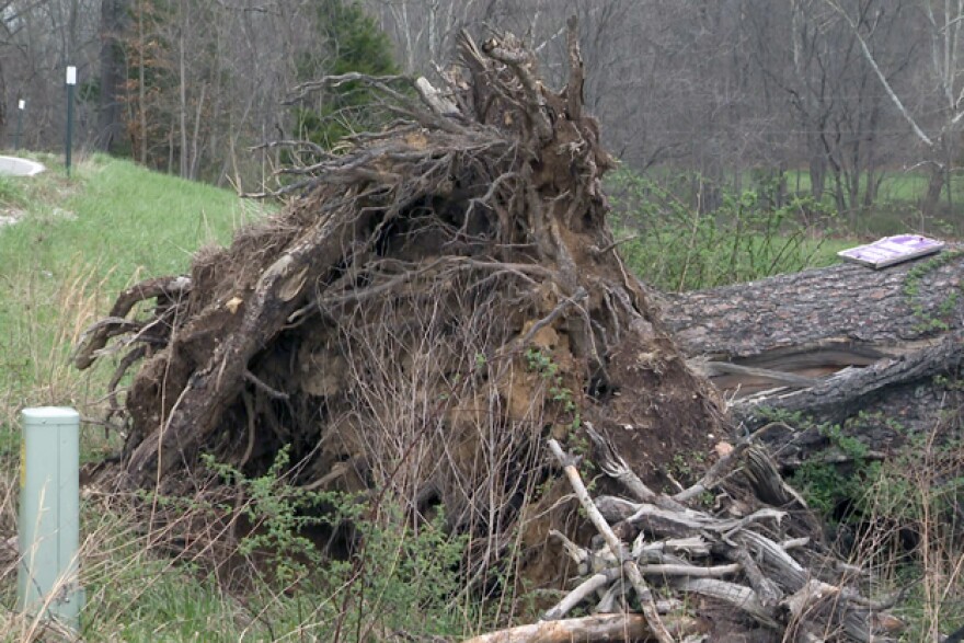 Storm damage in southern Monroe County after Wednesday's severe weather.