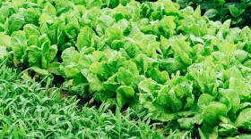 U.S. Senator Martin Heinrich's agriculture appropriations bill received unanimous approval from the Senate Appropriations Committee.