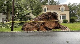 Damage in Verona from Thursday's powerful storm activity