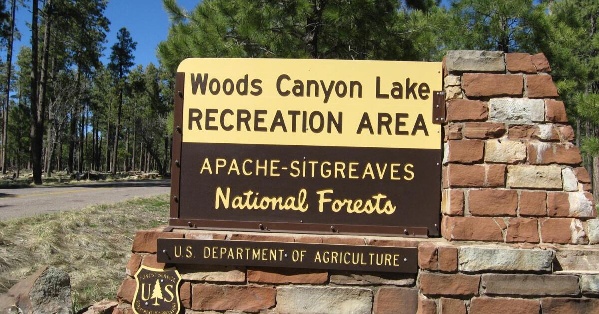 Increased moisture, cooler temps lift fire restrictions at Apache-Sitgreaves National Forests
