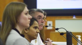 A row of people speaks to a city council