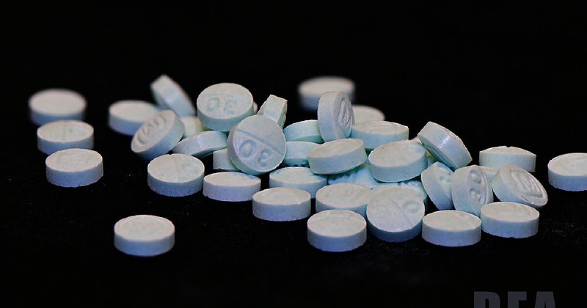 California's New Law Shields Students Seeking Overdose Help