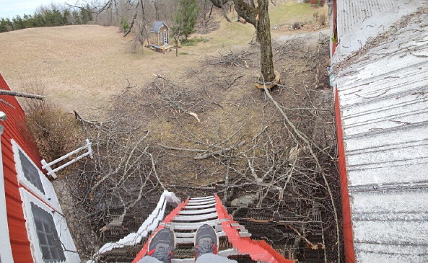 Matt McCormick's land shortly after the ice storm ravaged his property in March 2025.