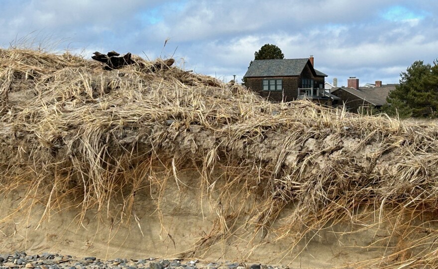 Coastal dunes in Wells continue to get scoured out by high tides and storms.