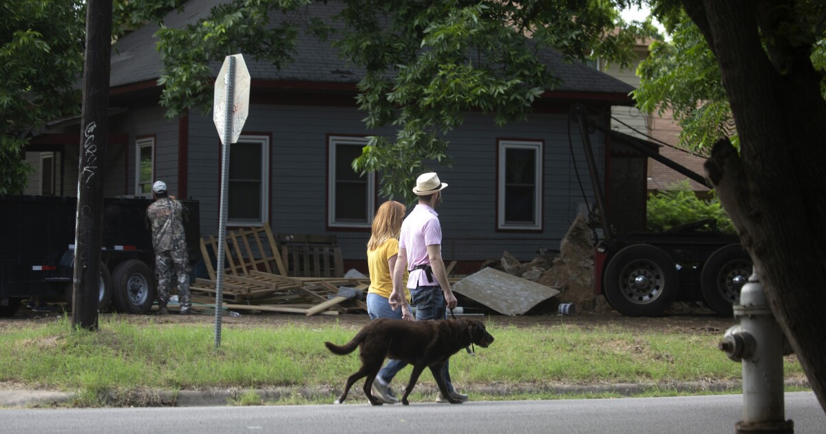 In This East Austin Neighborhood, There Are Now More Dogs Than Children