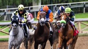 Four horses died or were euthanized at Churchill Downs in the last week. However, an equine database showed injuries dropped 37 percent in 2022.
