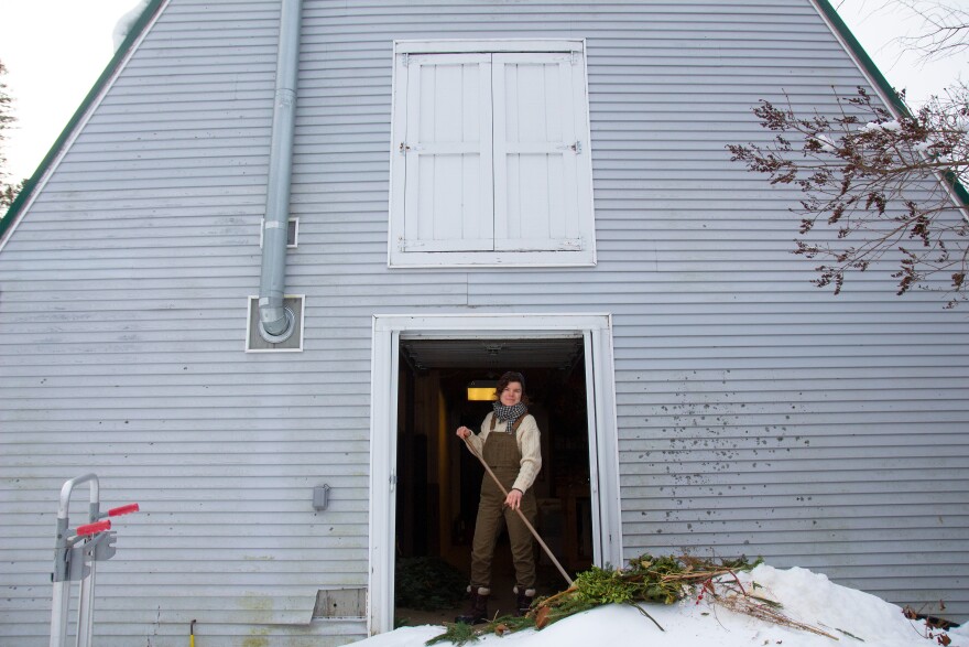 A person wearing work overalls and snow boots and a white sweater sweeps out discarded evergreen boughs from the bay of a gray barn. There is snow on the ground.