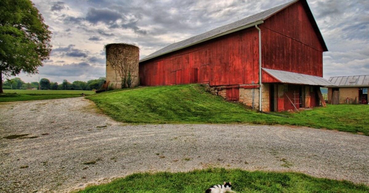 Clark County Farm A Living Archive Of Five Generations Of History WYSO