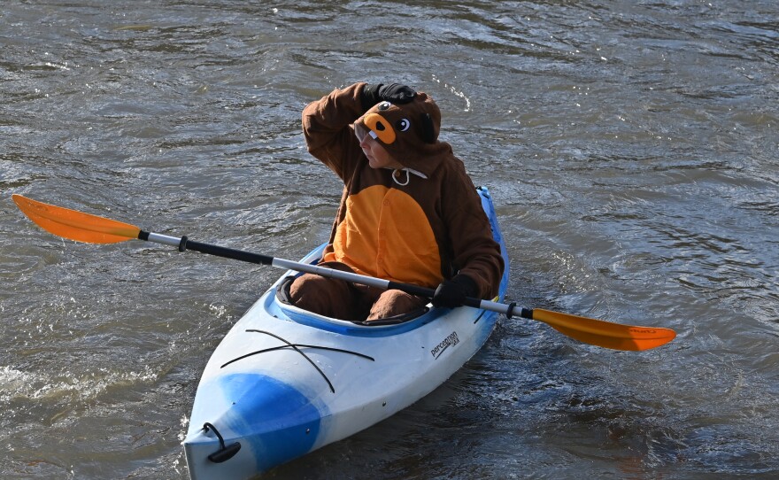 A paddler dressed as a beaver floats down the Lackawanna River.