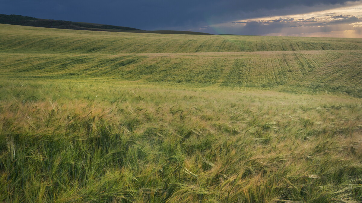 Idaho projects among those selected for landscape restoration funds - Vimarsana News