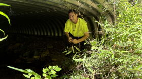 Benjamin Bradley sits in a culvert designed to keep Appalachian brook trout safe from road runoff.