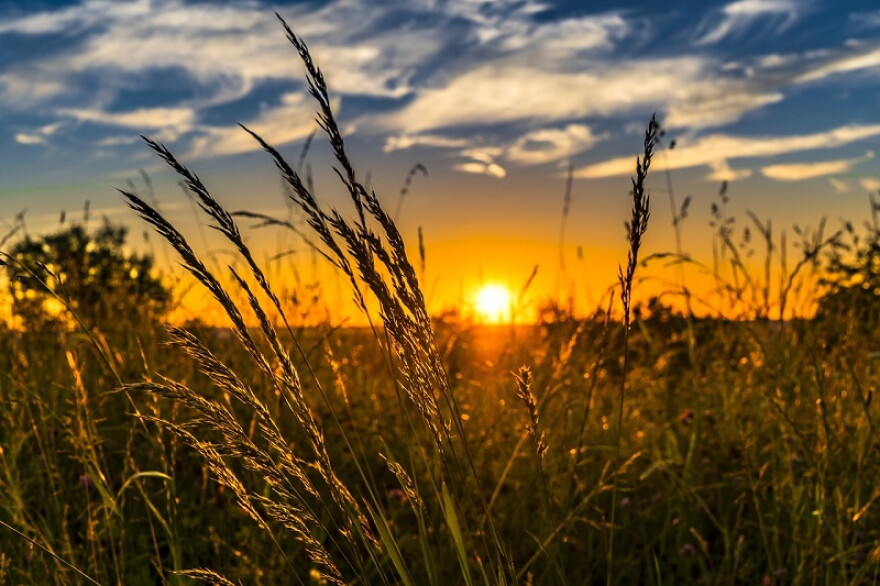 An automatic alert from LGE-KU led Berea Municipal Utilities officials to issue a Facebook post suggesting ways customers can conserve electricity during the current heat wave