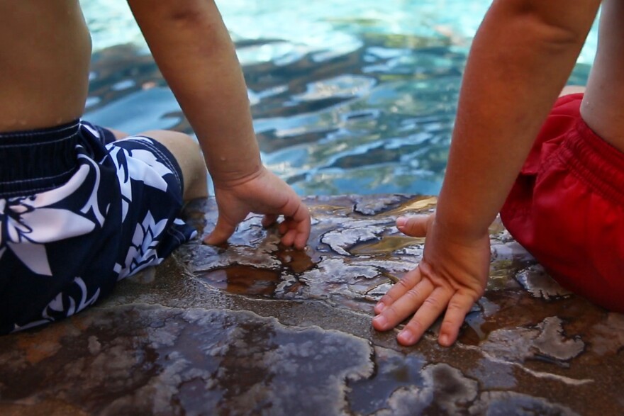 Two boys wait for their turn to swim, on the edge of Cooper's pool.