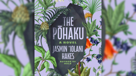 The cover of author Jasmin ʻIolani Hakes' new novel, "The Pōhaku."