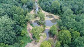Small dams in Biscuit Run Park create ponds that reduce erosion and pollution downstream.