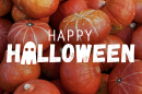 A collection of bright orange and red pumpkins fills the background behind large white text reading “Happy Halloween,” with a small ghost incorporated into the lettering.