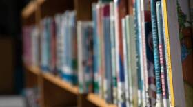 Amanda Jones recently found herself at the center of the national culture war over books. (John Moore/Getty Images)