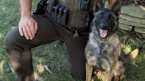 Vanderburgh County Sheriff's Office K-9 Kora posing with a deputy
