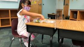 The issue of school learning options are being pondered across Florida as school districts try to mitigate the spread of COVID-19. 
