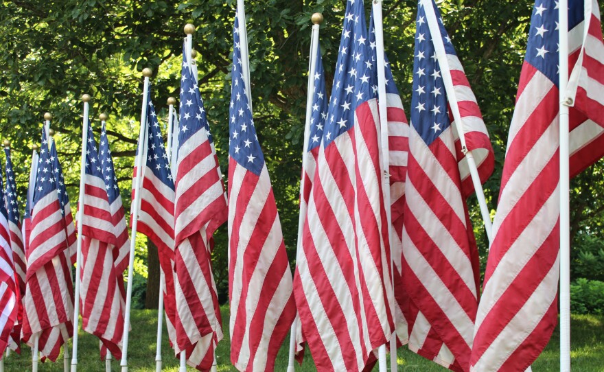 A close-up view of dozens of American flags on white poles, lined up in rows beneath shade trees.