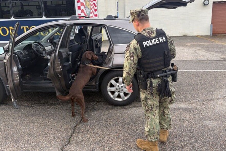 A dog helps screen a vehicle at the gate of Naval Station Norfolk in mid-March. The dogs are trained to detect explosives, narcotics, and other prohibited items.
