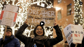 DACA