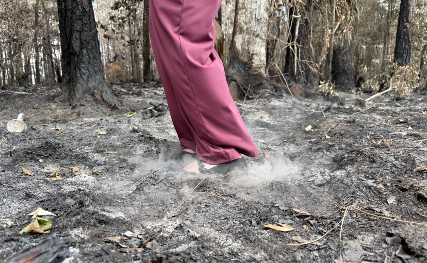 Cow Creek fire in Levy County. (Sara-James Ranta/WUFT News)