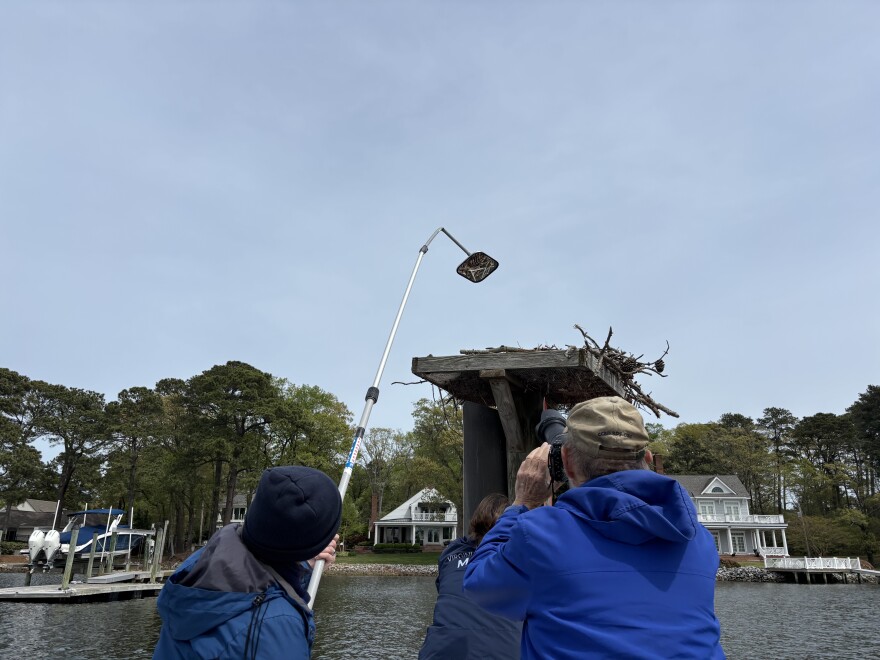 Keriann Spiewak and Reese Lukei check on a nest on the Lynnhaven River on April 7, 2026.