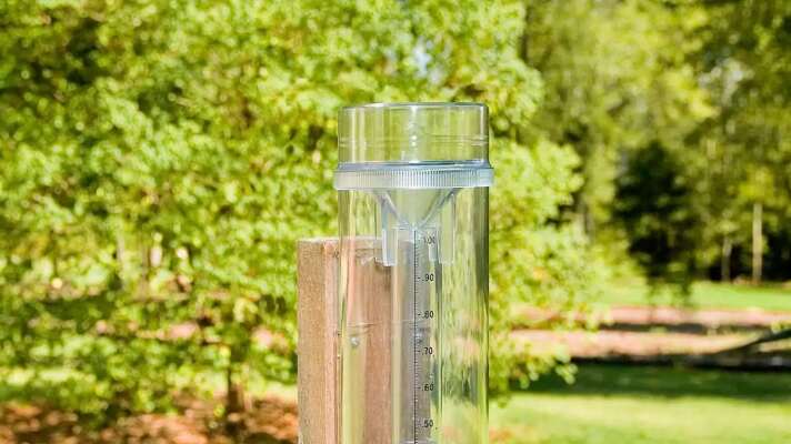 A clear plastic rain gauge stands in a summer garden, supported by a wooden post.