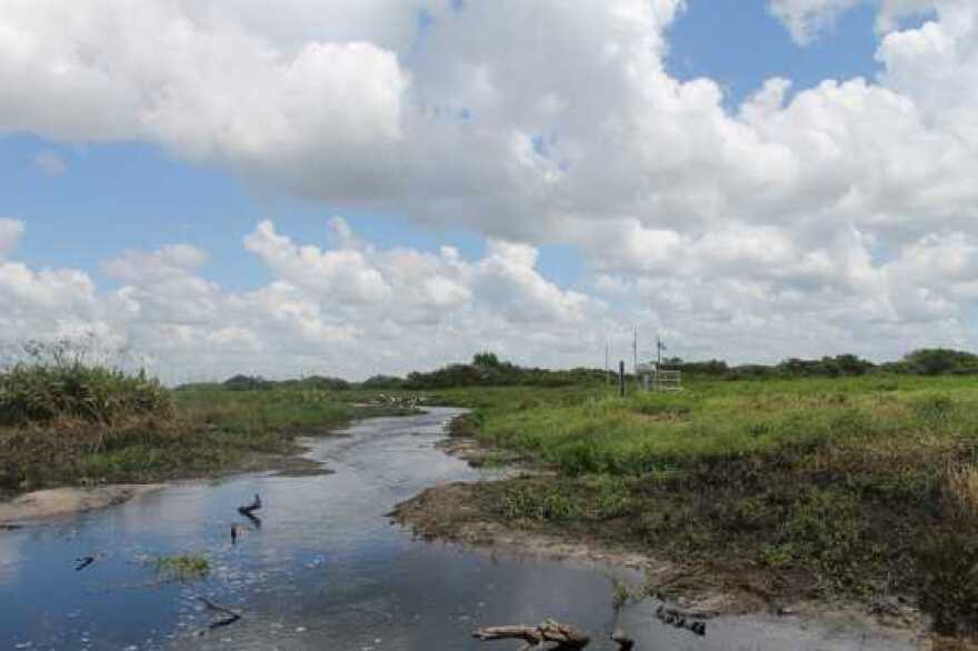 The Kissimmee River. Photo- Amy Green / WMFE