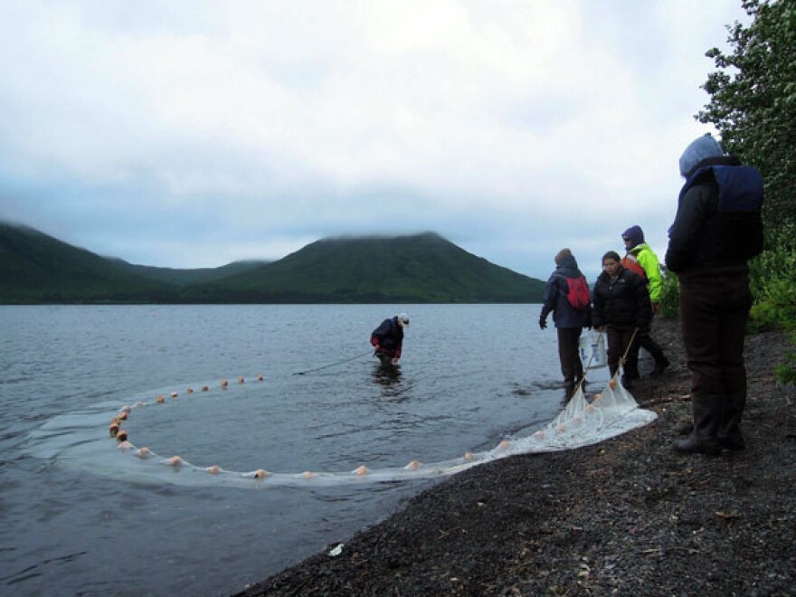 Photo by Dave Bendinger, KDLG - Dillingham